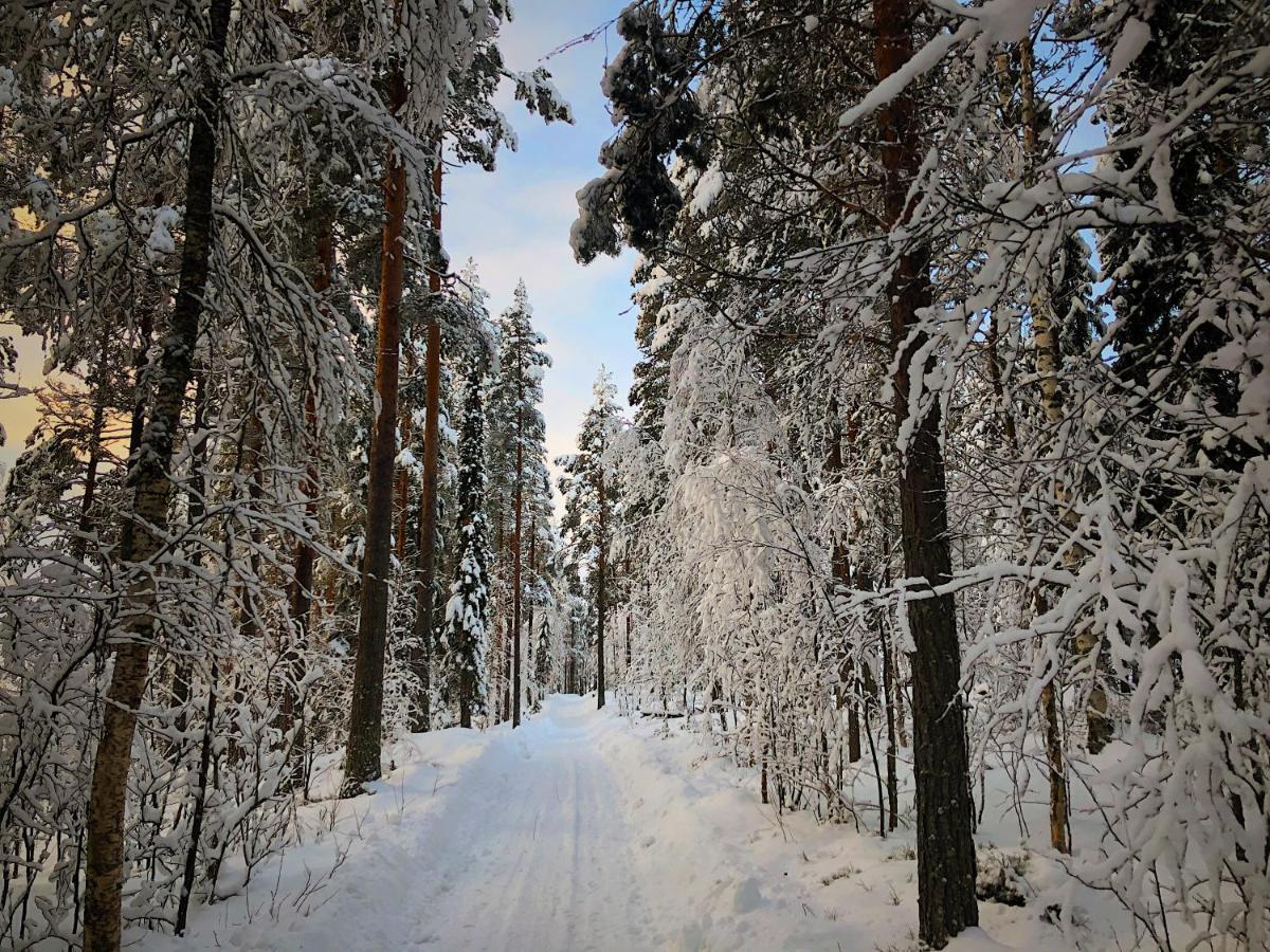 Vildmarks Lodge Ytterhogdal Buitenkant foto