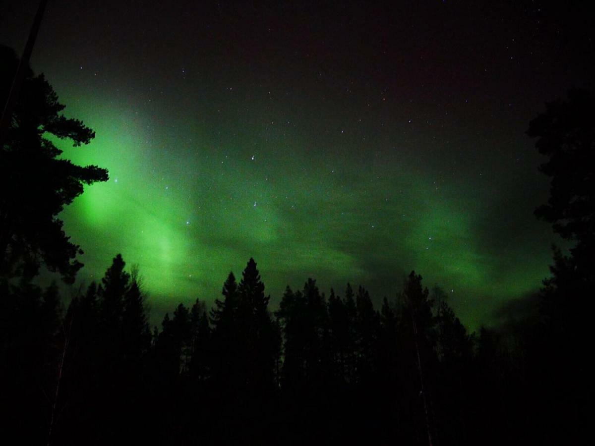 Vildmarks Lodge Ytterhogdal Buitenkant foto