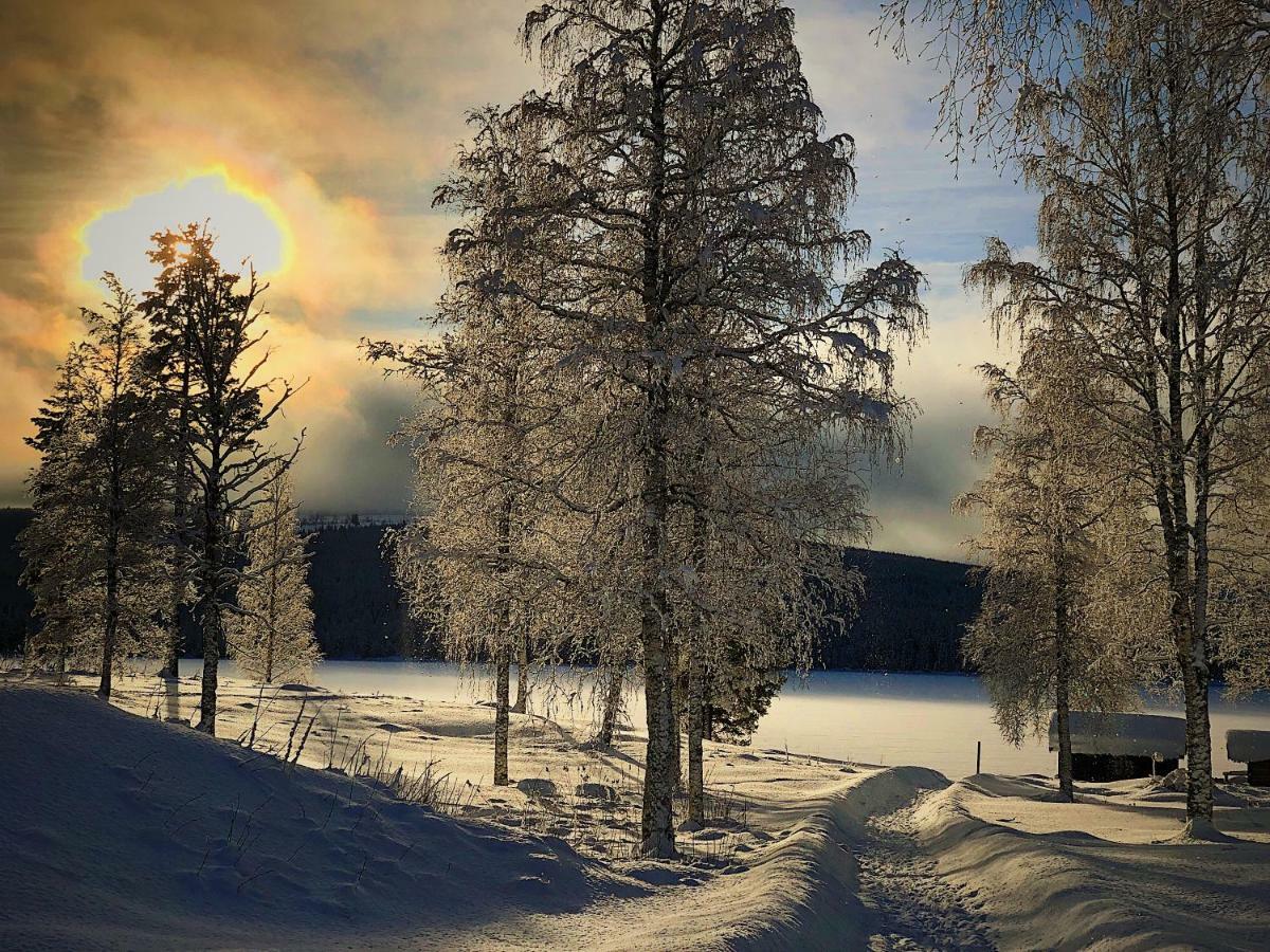 Vildmarks Lodge Ytterhogdal Buitenkant foto